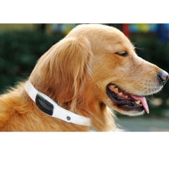 S1 Fashion GPS Pet Collar