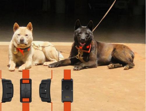 S9 Hunting dog GPS Tracker